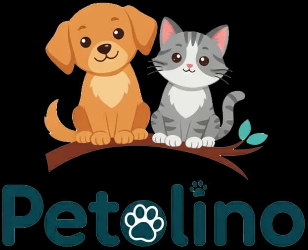 Petolino
