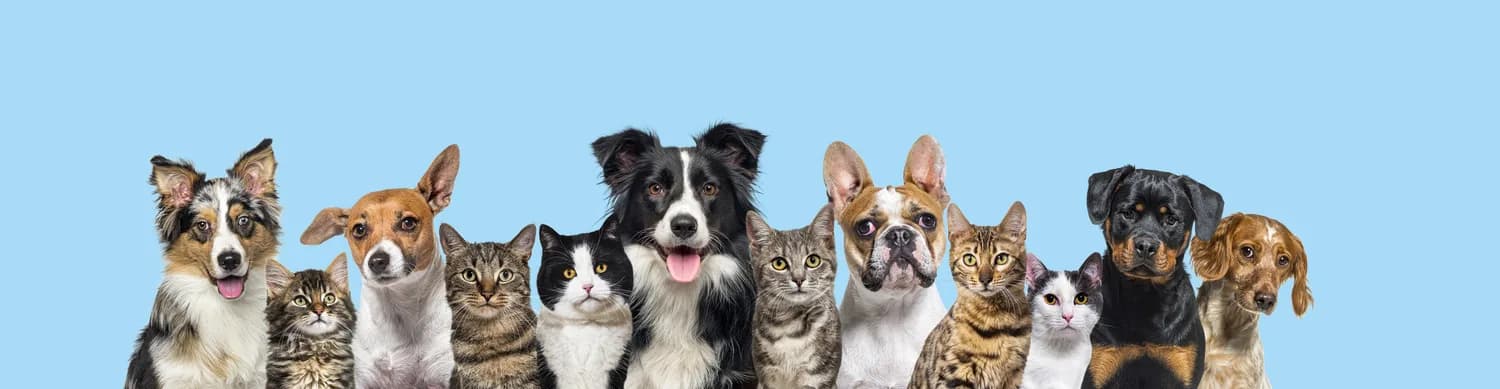 The Pet Lover's Choice.